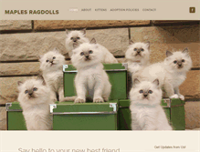 Tablet Screenshot of maplesroad.com
